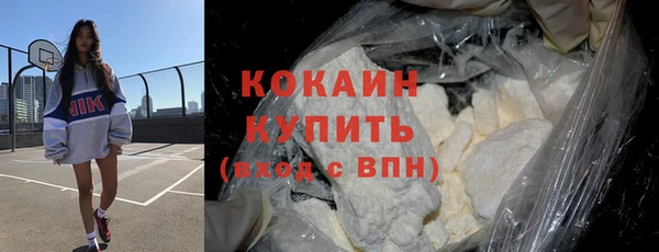 стафф Новозыбков