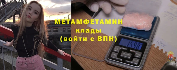 прущие грибы Новокубанск