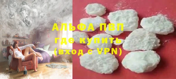 прущие грибы Новокубанск