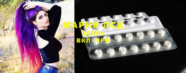 прущие грибы Новокубанск