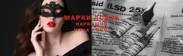 стафф Новозыбков