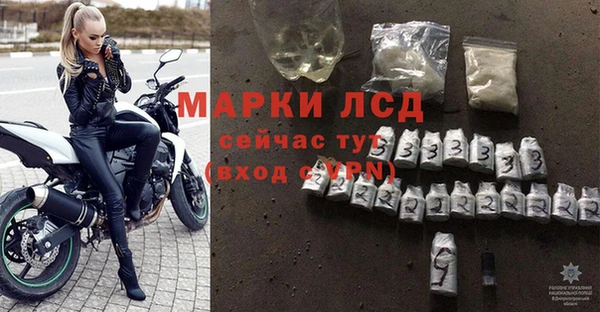 Альфа ПВП Новодвинск