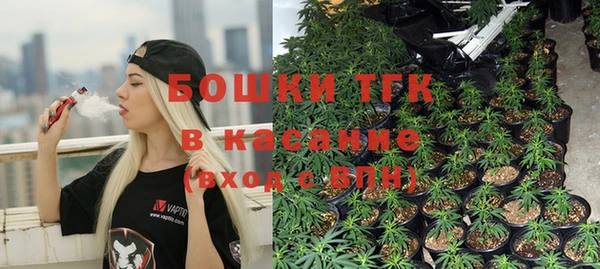прущие грибы Новокубанск