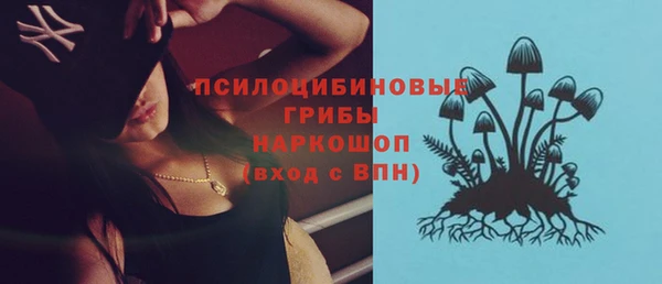 стафф Новозыбков