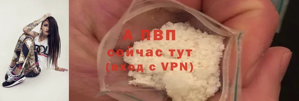 стафф Новозыбков