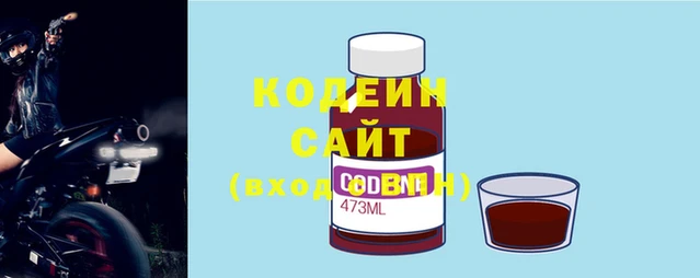 Альфа ПВП Новодвинск