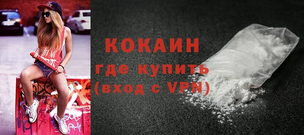прущие грибы Новокубанск