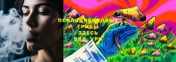 прущие грибы Новокубанск