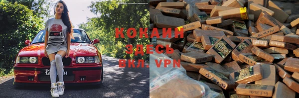 стафф Новозыбков