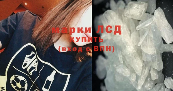 прущие грибы Новокубанск