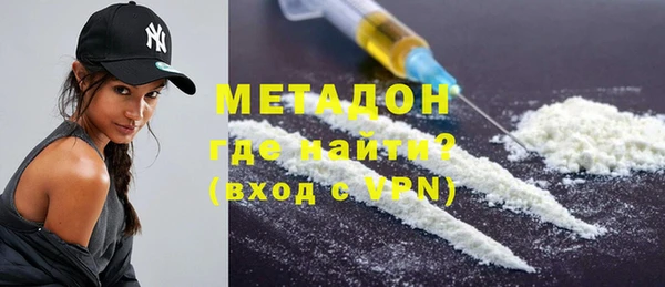прущие грибы Новокубанск