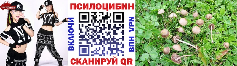 Галлюциногенные грибы Psilocybine cubensis  Полтавская 