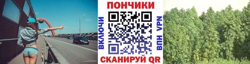 купить  сайты  Полтавская  нарко площадка наркотические препараты  Бошки Шишки AK-47 